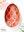 Faberge Eier